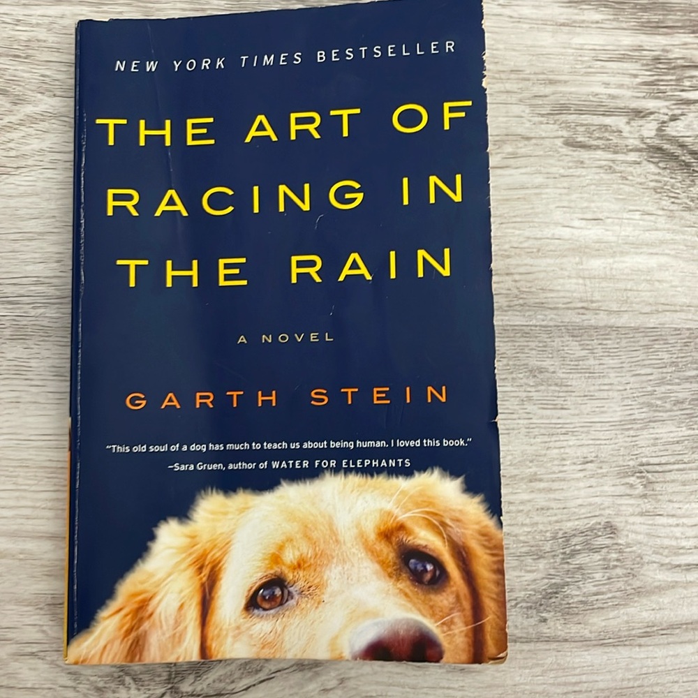 The Art of Racing in the Rain A Novel By: Garth Stein New York Times Best Seller